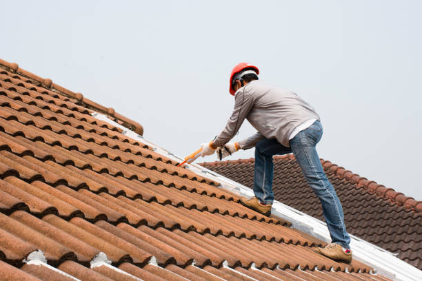 Best Cold Roofs  in Ebensburg, PA