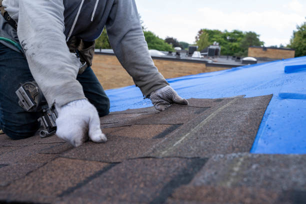 Best Chimney Flashing Repair  in Ebensburg, PA